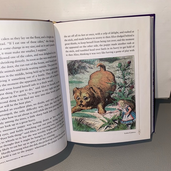 Alice’s Adventures in Wonderland and Through the Looking Glass - Picture 9 of 13